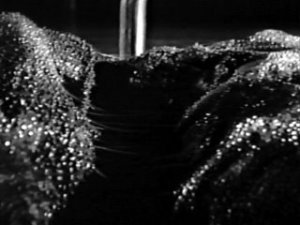 Caltiki - dettaglio del mostro.