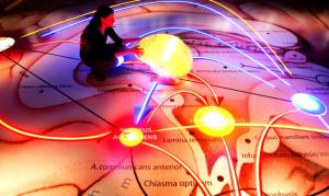 scoperte scientifiche