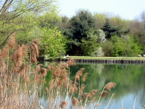 Un itinerario: Boscoincittà (Milano).