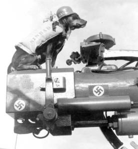 Nazi dog