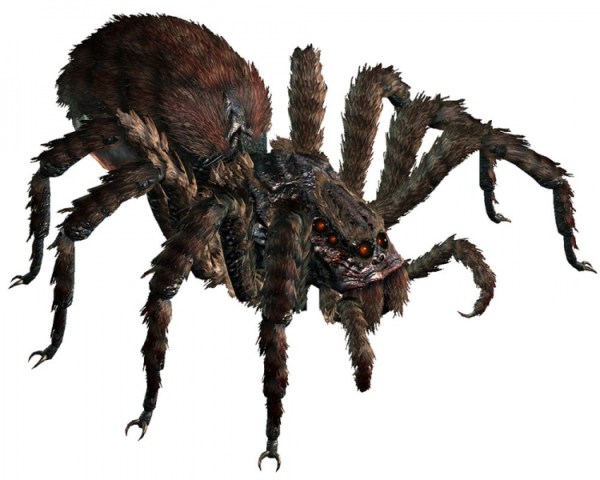 giant-spider